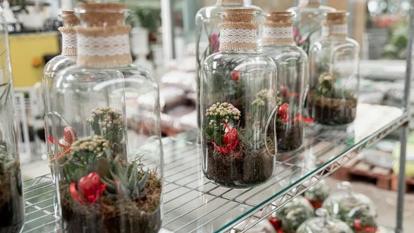 Custom Glass Packaging in Sydney: Turning Your Product Ideas into Reality