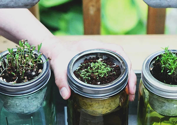 Why Glass Packaging is a Sustainable Choice
